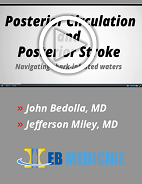 Posterior Circulation And Posterior Stroke: Navigating Shark-Infested Waters